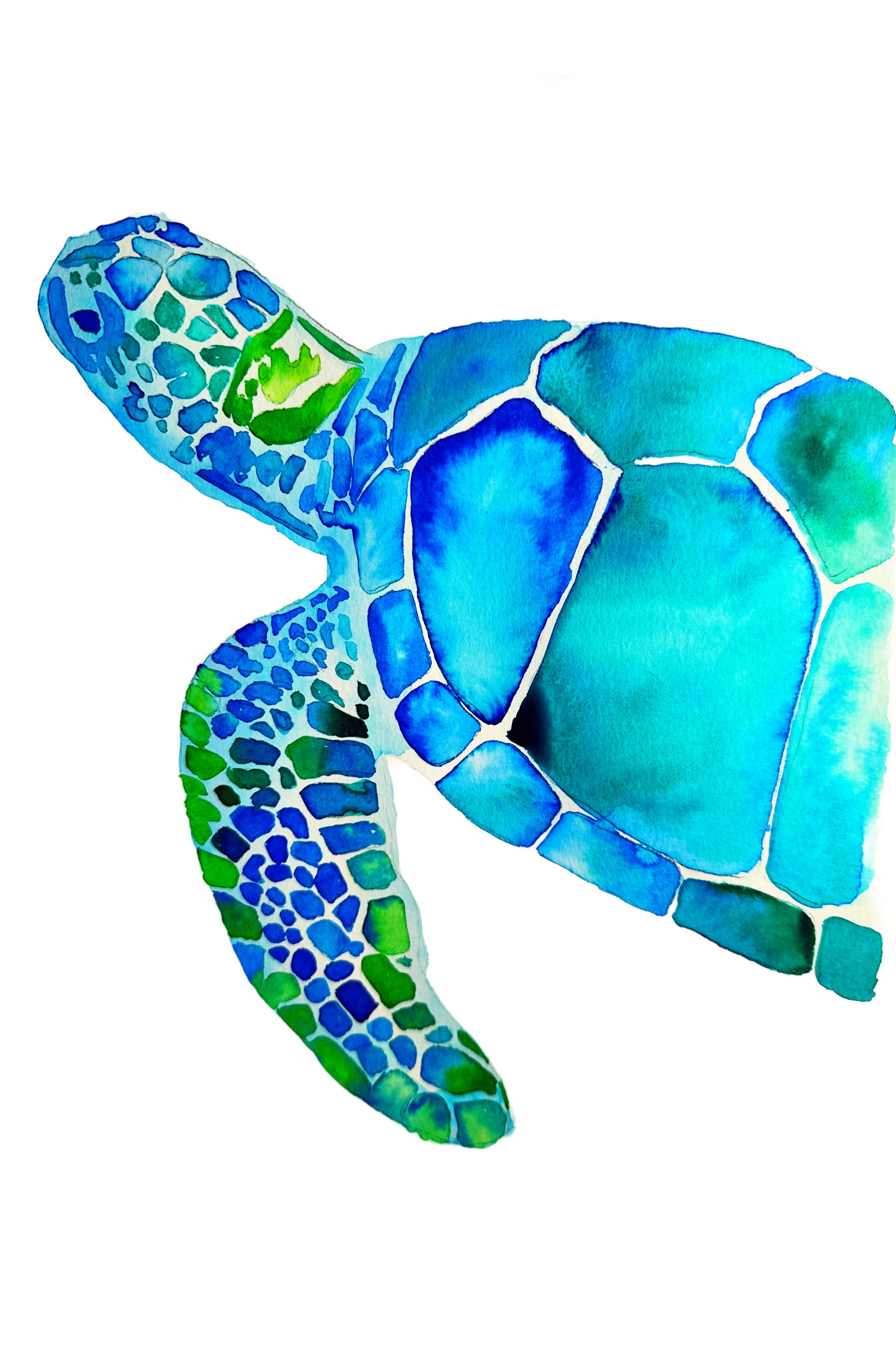 Sip & Paint Sea Turtle | Holiday Inn Portsmouth – Tina Williams Art