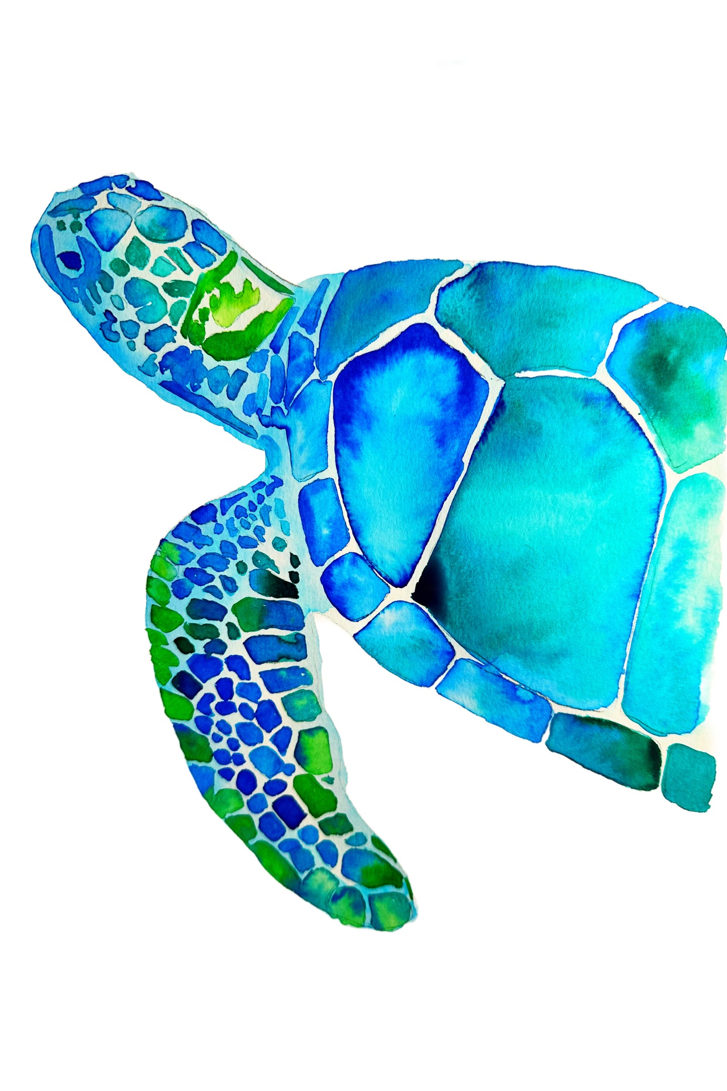 Sip & Paint Sea Turtle | Holiday Inn Portsmouth