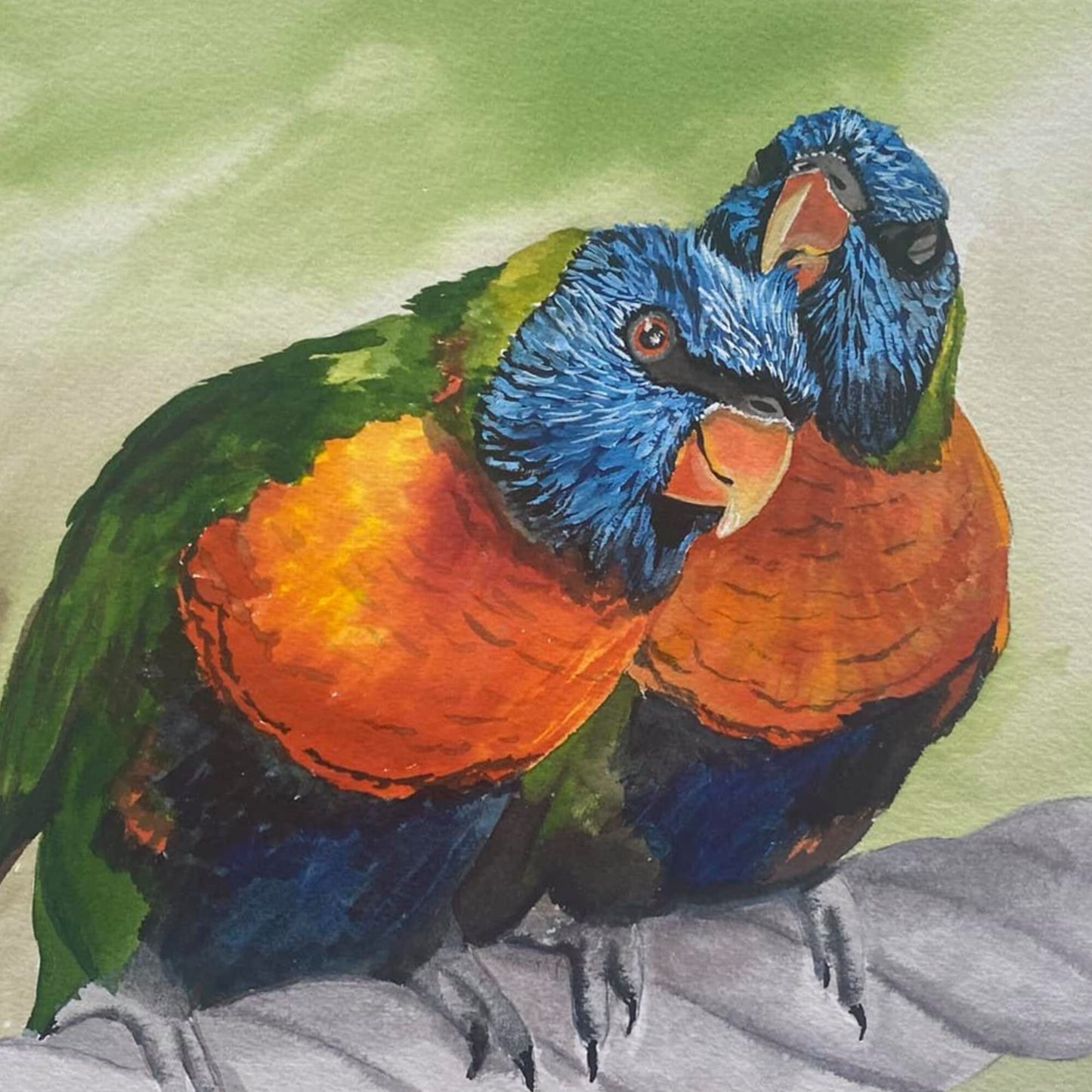 Lorikeet Watercolor - Award Winning