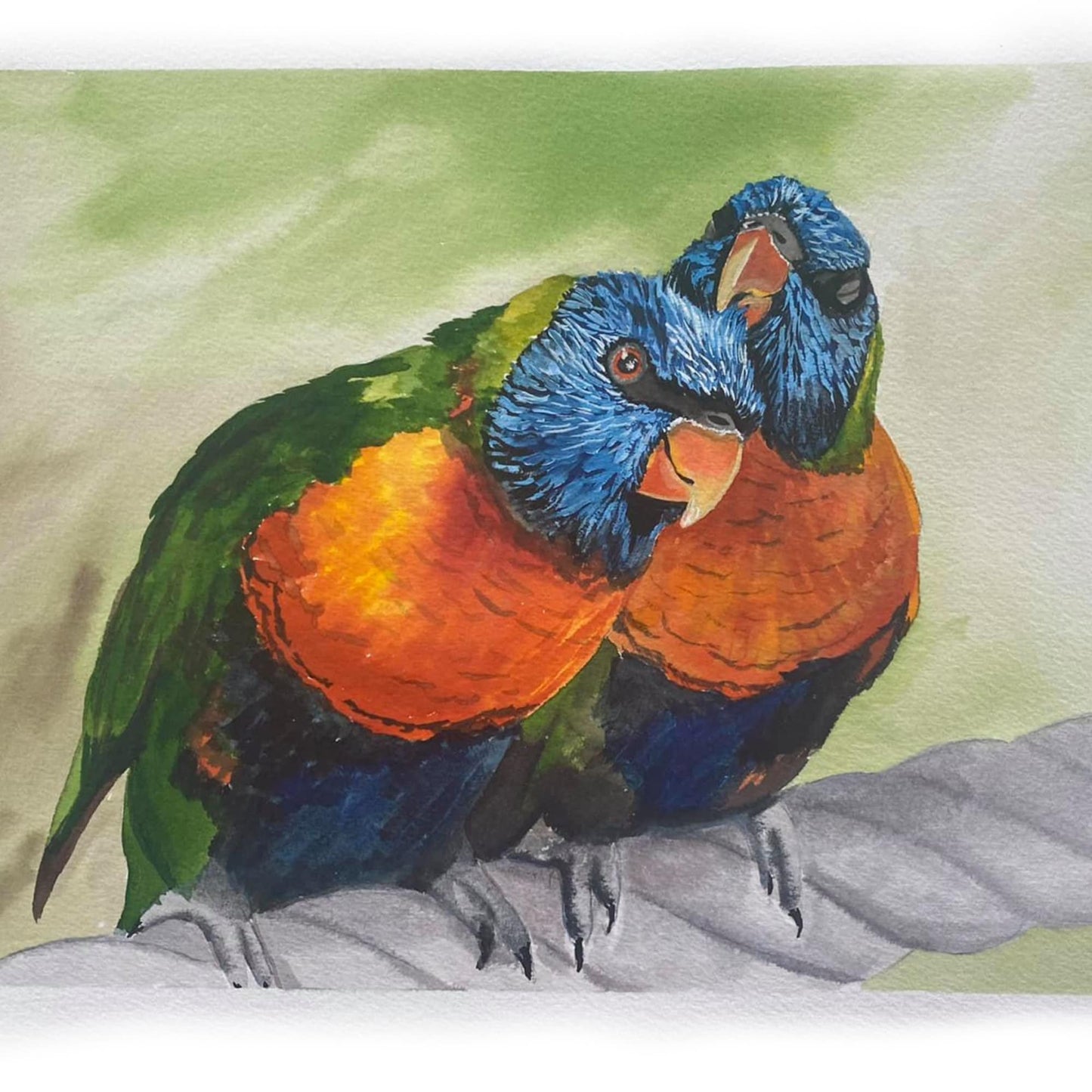 Lorikeet Watercolor - Award Winning