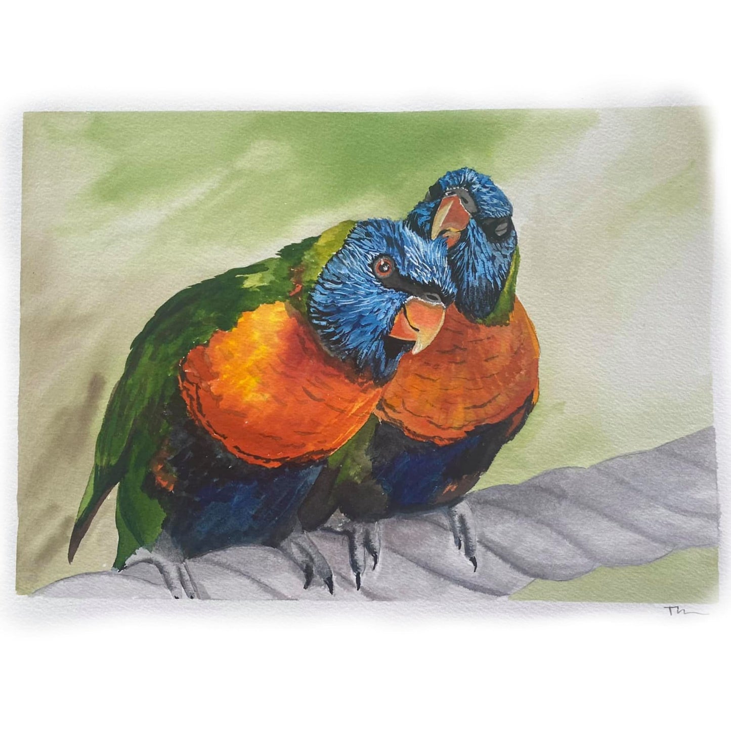 Lorikeet Watercolor - Award Winning