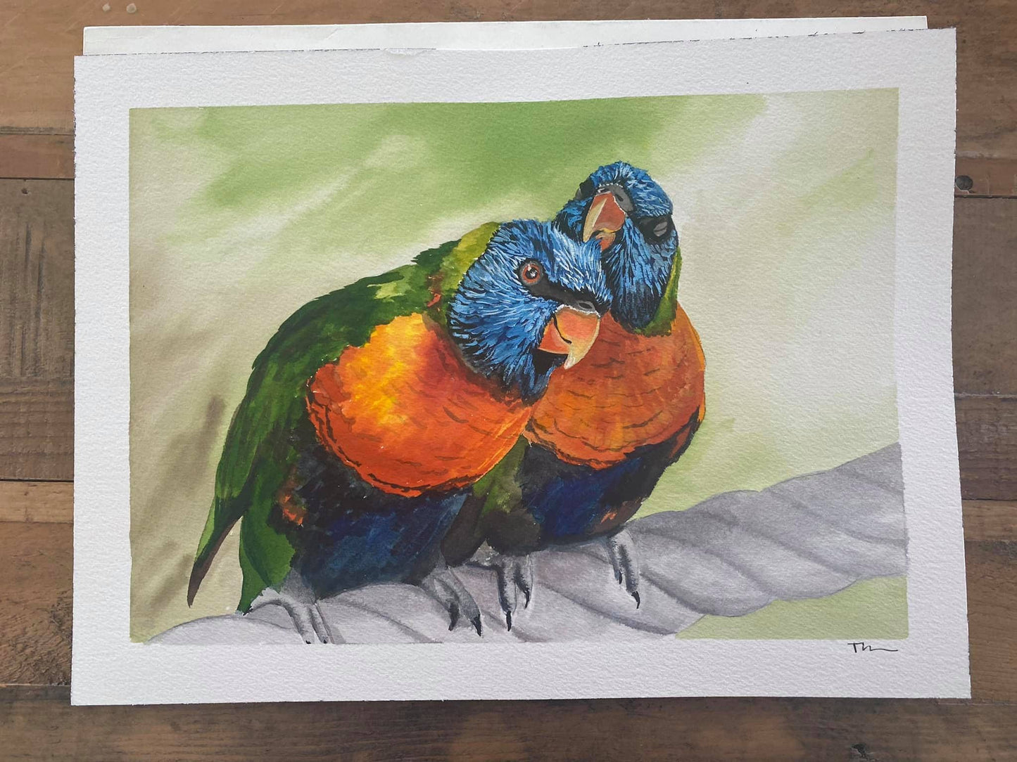 Lorikeet Watercolor - Award Winning